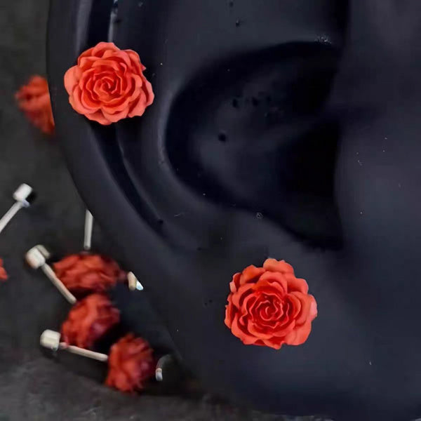 c0cc955c-fa4d-4135-9b5f-74bae68994cf